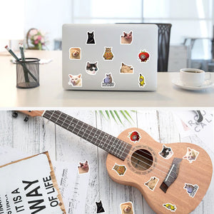 Aesthetic flat lay of cute cat meme stickers arranged for creative display