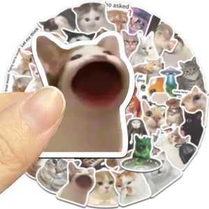funny cat meme sticker close up with exaggerated expression