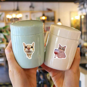 detailed view of cat meme vinyl sticker