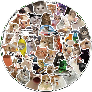 cute funny cat vinyl sticker with expressive face